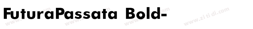 FuturaPassata Bold字体转换